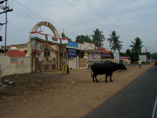 040528chennai0734.jpg