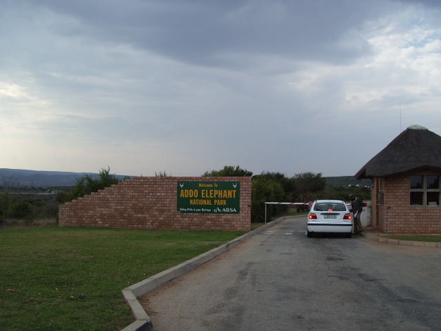 040829addo1047.jpg