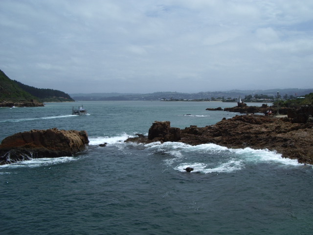 041204knysna1138.jpg