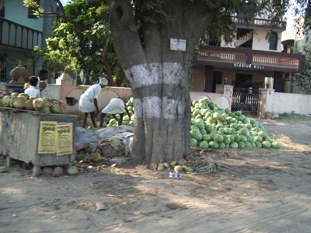 070211chennai0828.jpg
