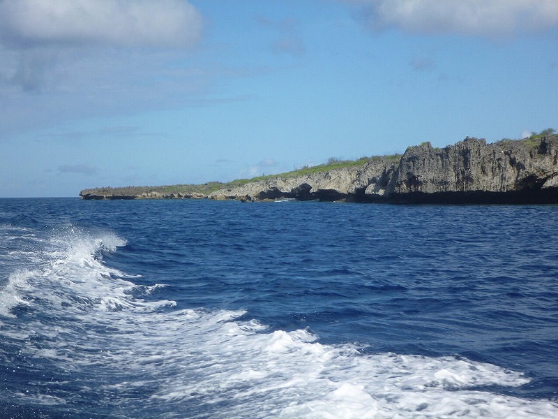 120422tinian_twocoralhead0921.jpg
