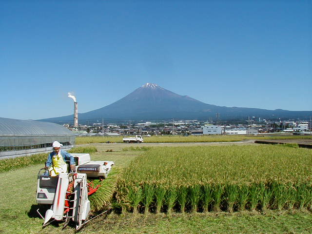 010923fuji1031.jpg