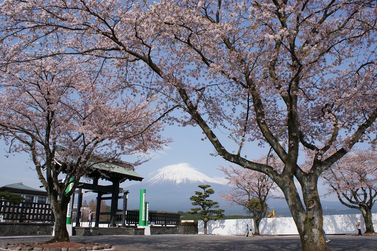 100411fuji1445.jpg