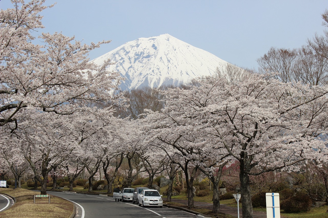 140416fuji1420.jpg