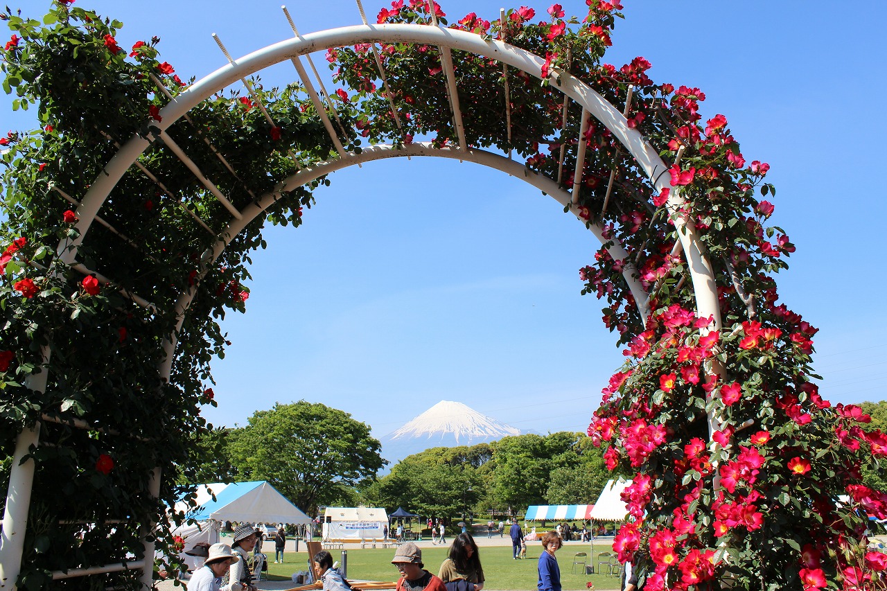 140511fuji1445.jpg