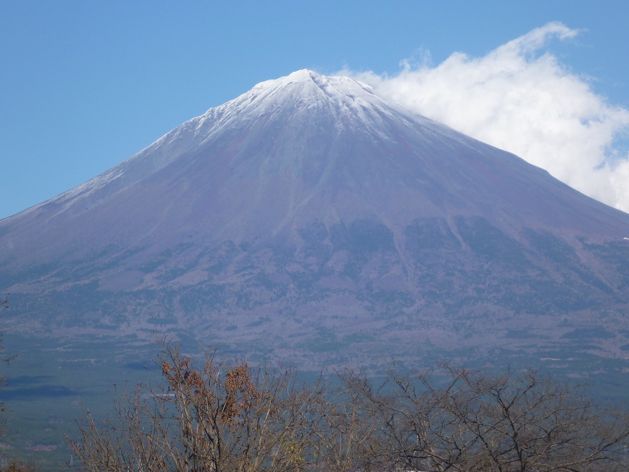 20201128fuji1323.jpg