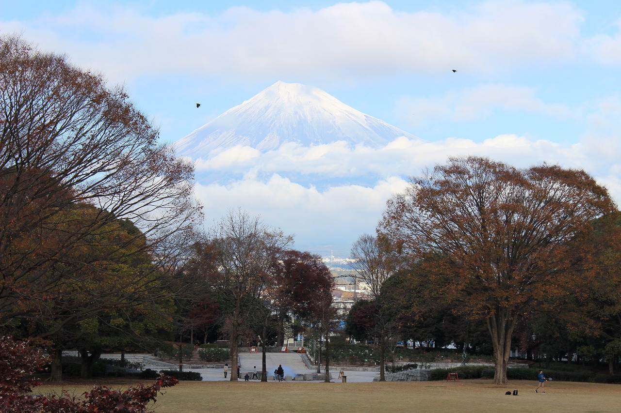 20201205fuji1352.jpg